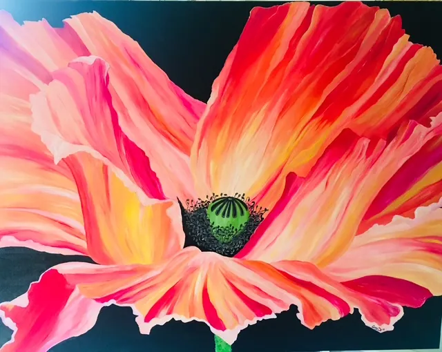 Painting of a coral and yellow poppy by Amy D'Orazi