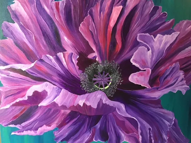Painting of a purple poppy by Amy D'Orazi